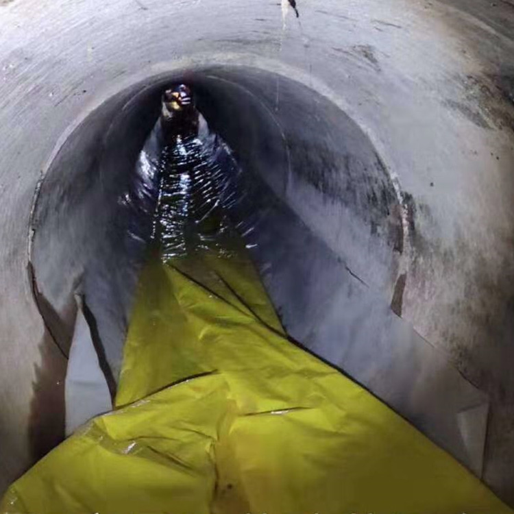 巴彦淖尔管道光固化修复